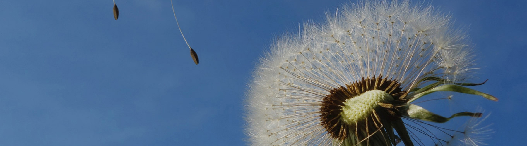 必赢亚洲·bwin(中国区)唯一官方网站